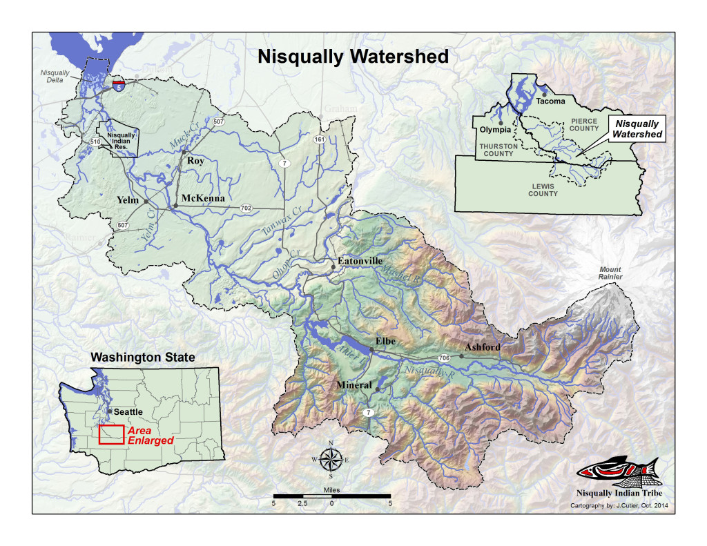 Nisqually Delta Restoration